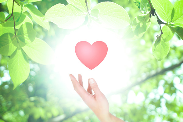 幅広い疾患・症状に対応